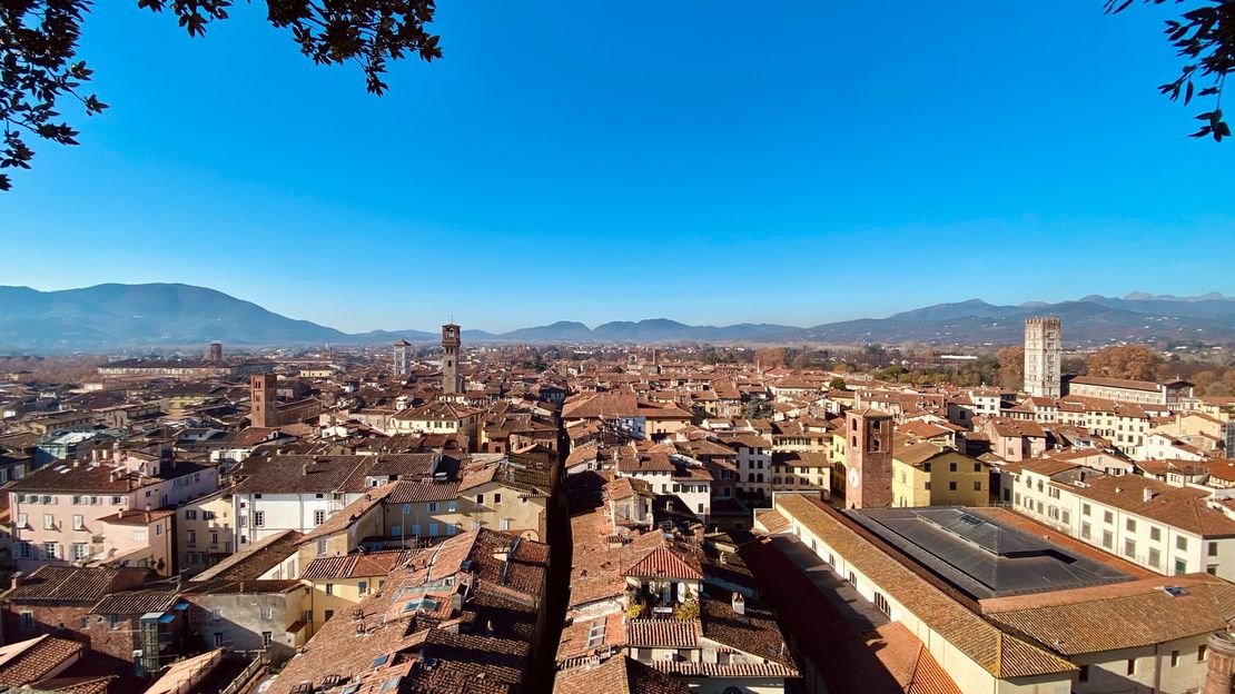 A New Beginning: Welcome to Lucca.art