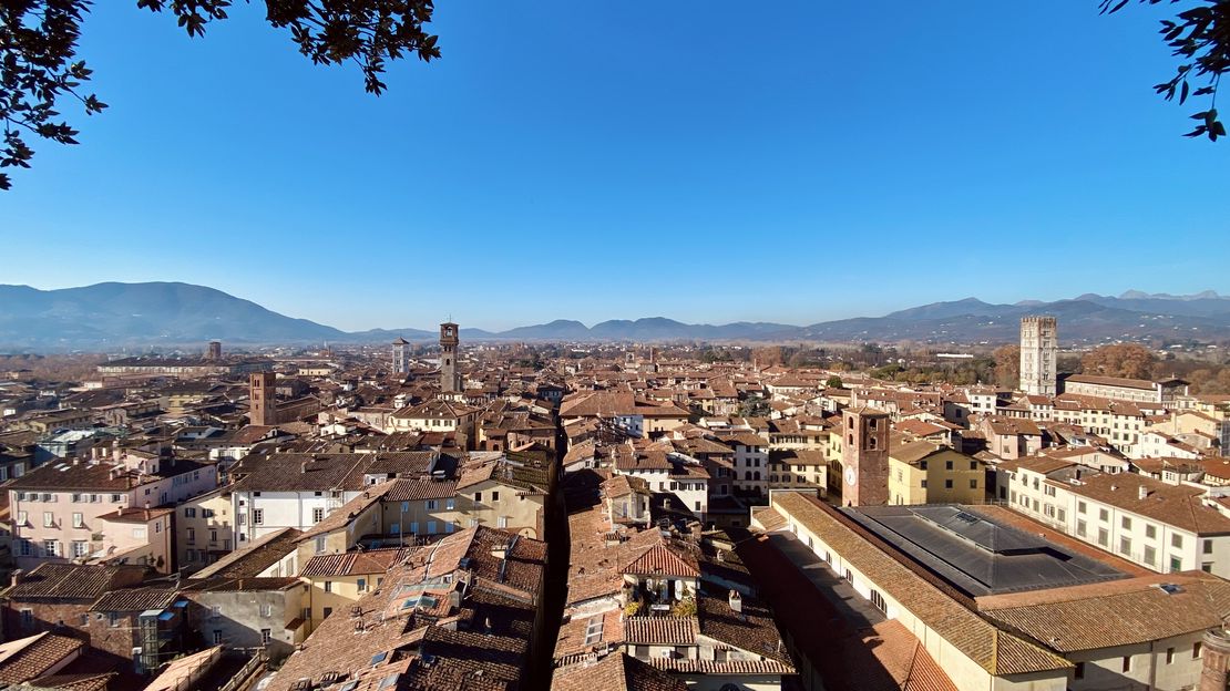 A New Beginning: Welcome to Lucca.art